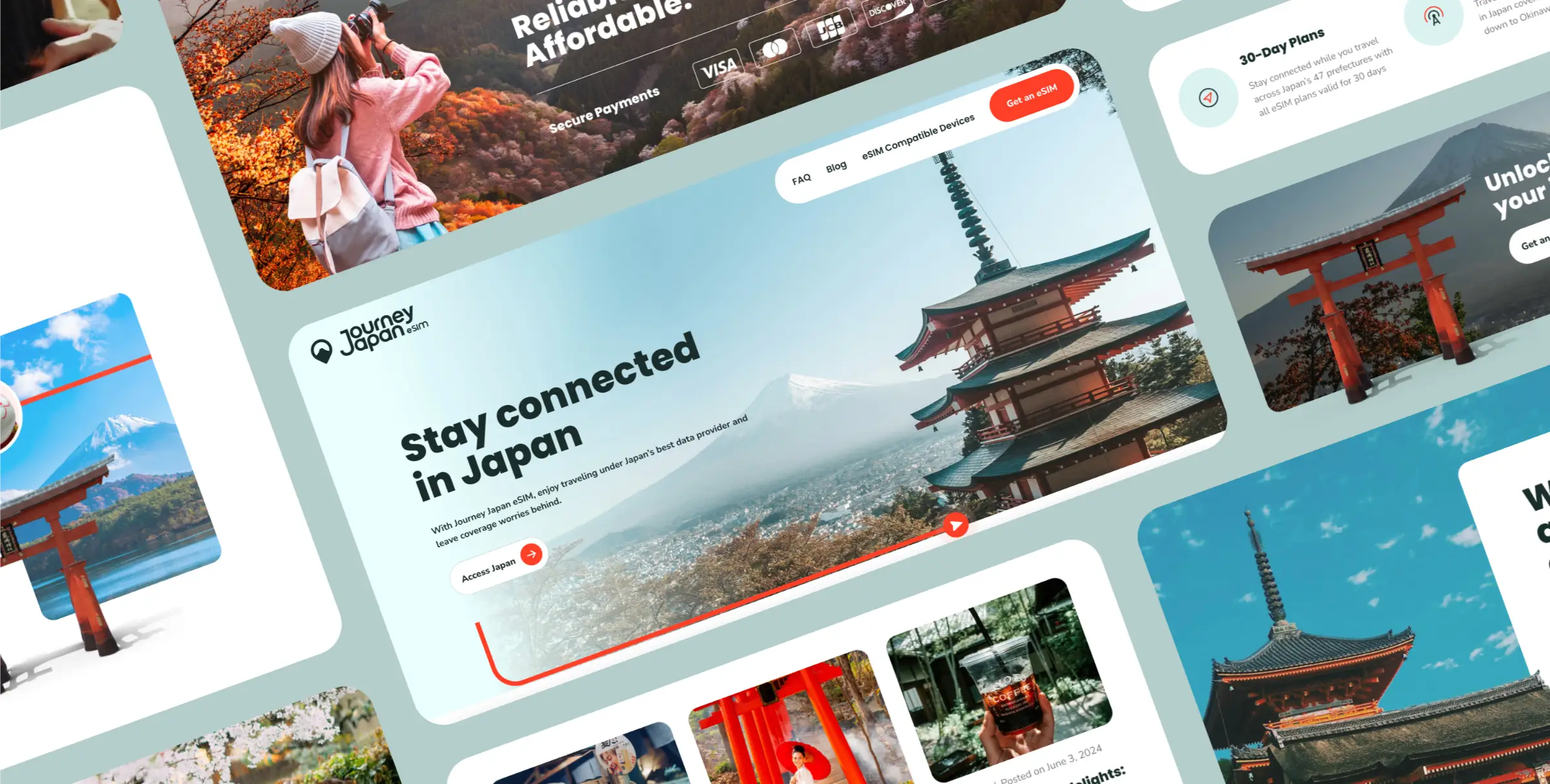 Website Design